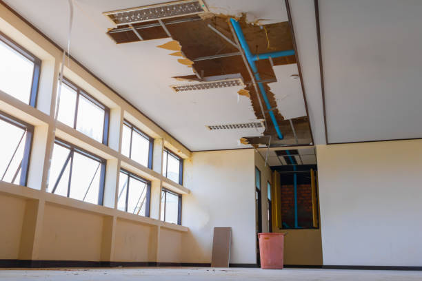 Best Water damage restoration cost  in Bexley, OH