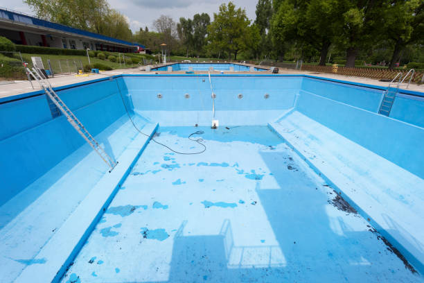 Best Water damage contractors near me  in Bexley, OH