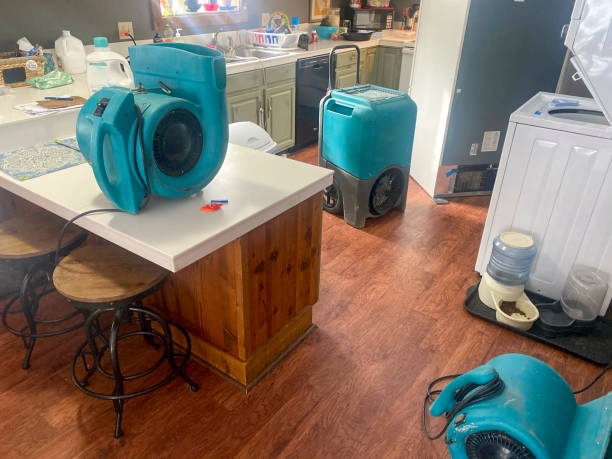 Best 24/7 water damage repair  in Bexley, OH