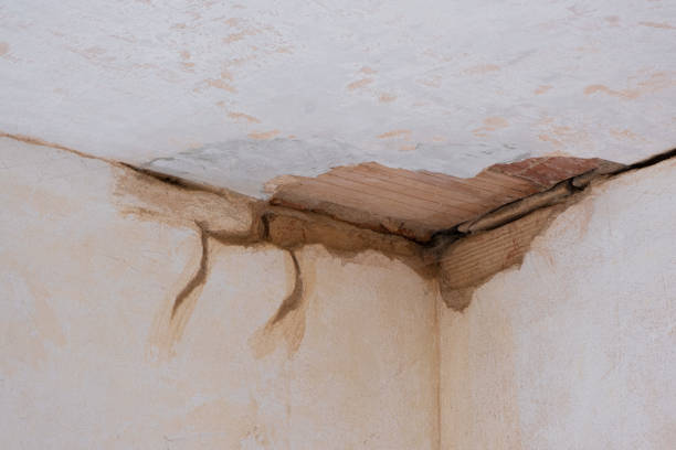 Best Ceiling water damage repair  in Bexley, OH