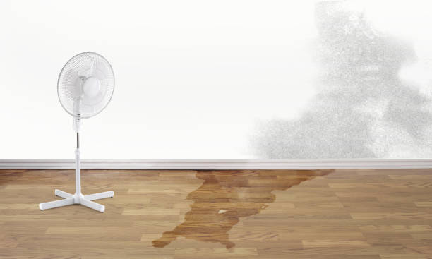 Best Ceiling water damage repair  in Bexley, OH