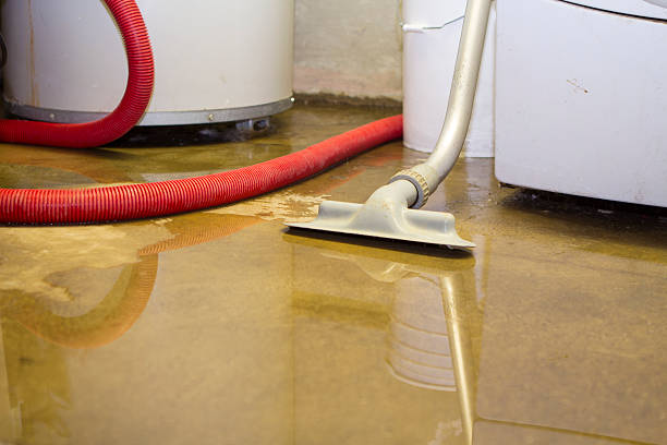 Best Residential water damage restoration  in Bexley, OH