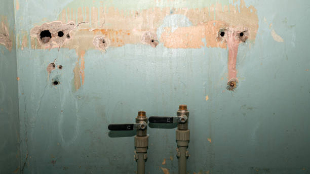 Best Water damage cleanup near me  in Bexley, OH