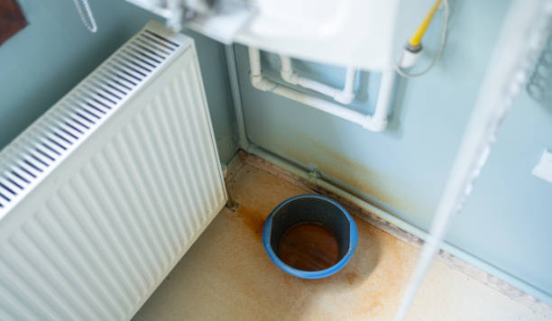Best Basement water damage restoration  in Bexley, OH