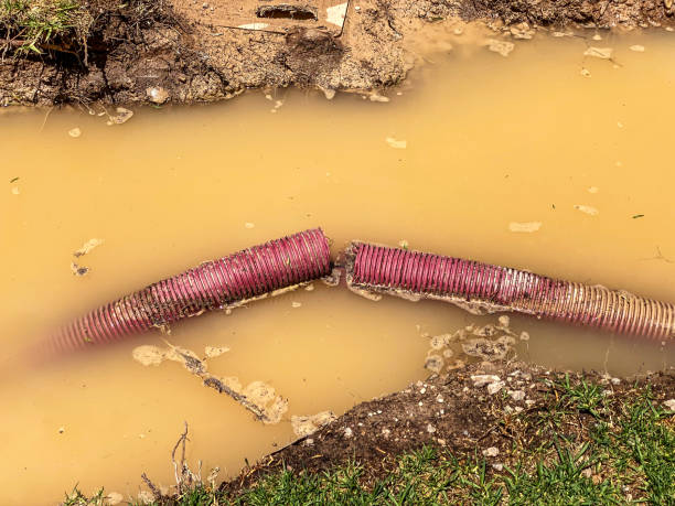 Best Water damage restoration specialists  in Bexley, OH