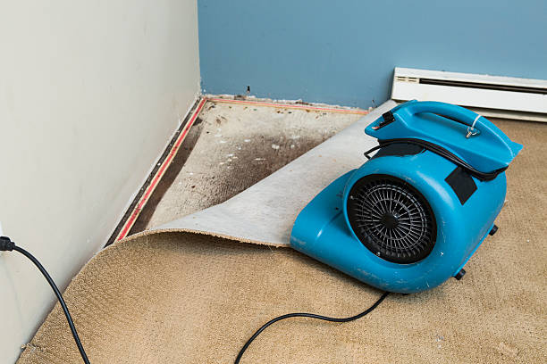 Best Water damage restoration near me  in Bexley, OH