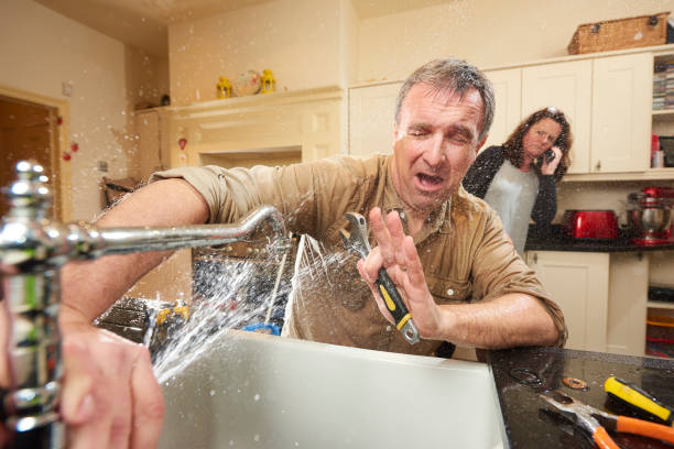 Best 24/7 water damage repair  in Bexley, OH